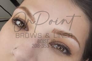 combo brows boise idaho