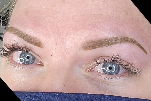 combo brows boise idaho