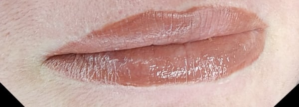 idaho lip blush