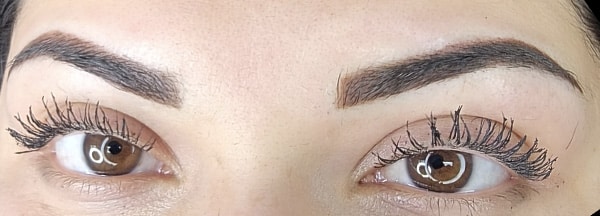 powder brows boise id